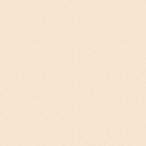 Folia fotokarton licht beige 10 vellen - 300gr - 50x70 cm knutselkarton