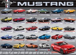 Eurographics legpuzzel Ford Mustang Evolution - 1000 stukjes puzzel