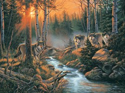 SunsOut puzzel Forest Shadows - 1000 stukjes legpuzzel