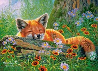 Castorland puzzle Foxy Dreams - 100 pièces puzzle jouet