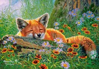 Castorland puzzle Foxy Dreams - puzzle 500 pièces