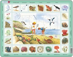 Larsen puzzle - puzzle nature - Seaside - 48 pièces - jouet éducatif