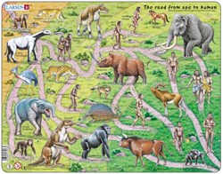 Larsen puzzle - évolution du singe à l'homme - jouet éducatif - 83 pièces