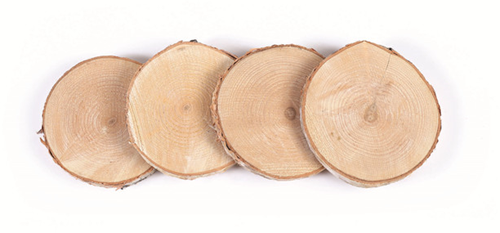 Graine Creative GC Houten Schijven 7-10 cm 4 stuks