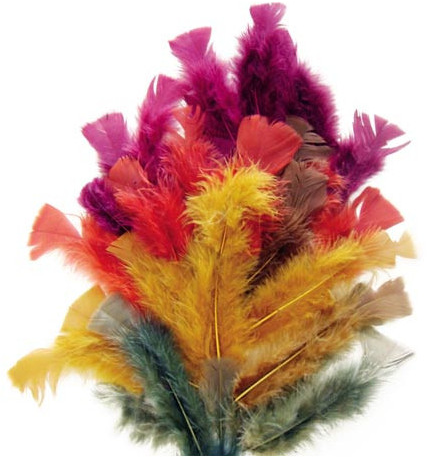 Graine Creative GC Kalkoenveren 15 cm Herfstkleuren
