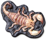 Ses Moule en plâtre animaux effrayants set créatif avec peinture et phosphorescent-3