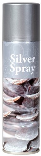 Graine Creative Graine Creative Deco Spray 150 ml Zilver