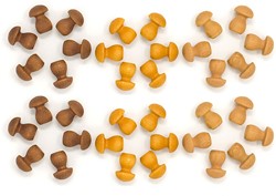 Grapat Houten Mandala Champignon Bruin (36 st.)