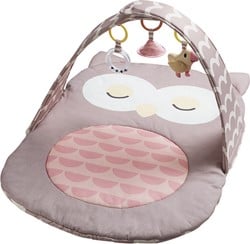 Hape Babygym Owl Oscar