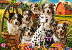 Castorland puzzle chiens paysage 1000 pièces pour adultes