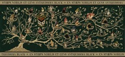 Ravensburger Harry Potter - Familienstammbaum - 2000 Teile