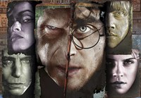 Pzl 1000 Harry Potter Compact Box