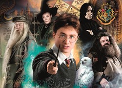 Clementoni Harry Potter puzzel - 500 stukjes - film merchandise