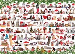 Eurographics puzzle chats de Noël 1000 pièces - puzzle chats Noël