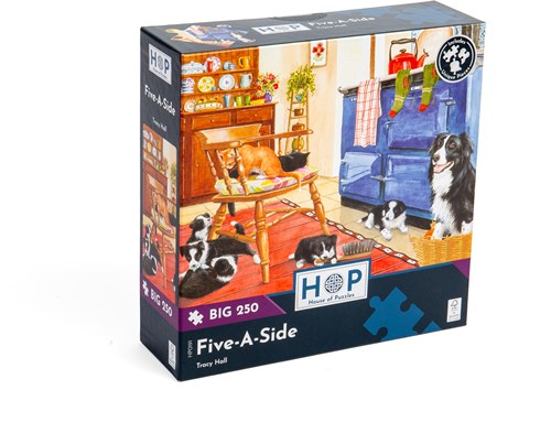 House of Puzzles puzzle XXL Seaside Special 250 pièces paysage-2