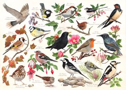 House of Puzzles puzzle 1000 pièces Birds in My Garden puzzle