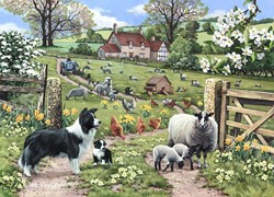 House of Puzzles Early Learning 1000 Piece Puzzle