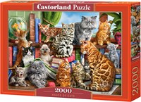 Castorland puzzel House of Cats - 2000 stukjes legpuzzel katten-2