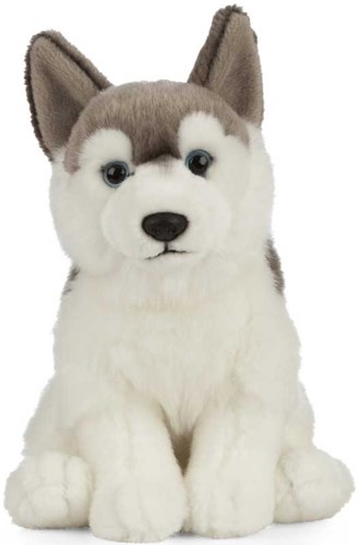 Living Nature peluche husky jouet réaliste doux 21cm