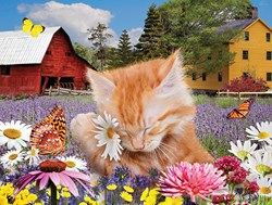 SunsOut puzzel bloemen - 500 stukjes legpuzzel