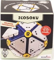 Recent Toys denkspel puzzel Icosoku breinbreker spel
