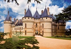 DToys Jigsaw Puzzle - 1000 Pieces - Castles of France : Château de Chaumont -  Teile