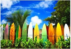 Eurographics puzzel Surfer's Paradise Hawaii - 1000 stukjes
