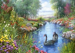 Castorland puzzel Black Swans Andres Orpinas - 1500 stukjes - legpuzzel