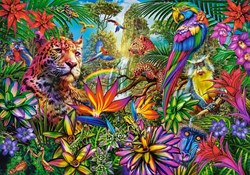 Castorland puzzle Jungle Fashion - puzzle 500 pièces