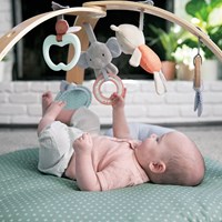 Ingenuity babygym speelkleed - Cozy Spot Loamy - omkeerbaar en zacht-2