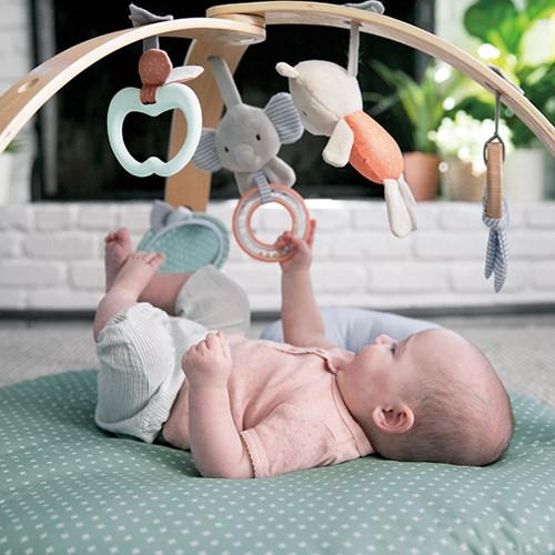Ingenuity babygym speelkleed - Cozy Spot Loamy - omkeerbaar en zacht-2