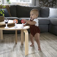 Baby Einstein jouet hochet set - Rattle & Jingle Trio - éducatif