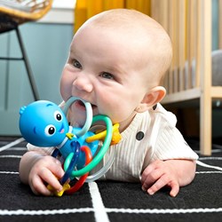 Baby Einstein jouet hochet anneau de dentition - Opus Shake & Soothe