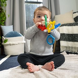 Baby Einstein jouet de dentition Sea of Sensory - jouet sensoriel coloré