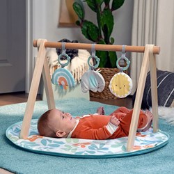 Ingenuity tapis d'éveil bébé en bois Sun Valley avec arche de jeu multicolore