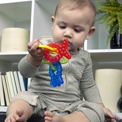Baby Einstein bijtspeelgoed Ocean Explorers Cool Critter Teether Set multicolor