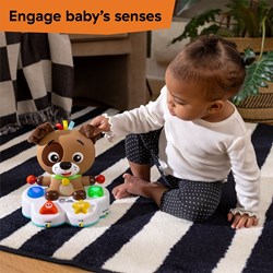 Baby Einstein muzikale leertrommel interactief speelgoed veelkleurig