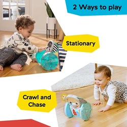 Baby Einstein interactief kruipspeelgoed olifant - leerzaam speelgoed