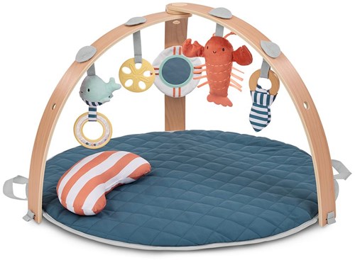 Ingenuity babygym speelkleed Cozy Spot omkeerbaar haven-2