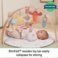 Ingenuity babygym speelkleed Cozy Spot omkeerbaar haven-3
