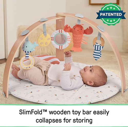 Ingenuity babygym speelkleed Cozy Spot omkeerbaar haven-3