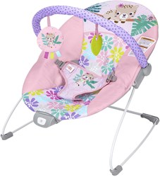 Bright Starts baby wipstoel Wildflower Wonders met vibratie