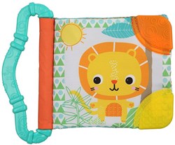 Bright Starts baby bijtboekje mintgroen - siliconen speelgoed vanaf 3 maanden