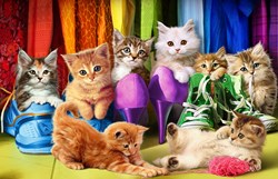 Eurographics legpuzzel katten Kitten Pride - 1000 stukjes dieren