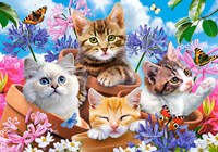 Castorland puzzle Kittens with Flowers - 500 pièces animaux