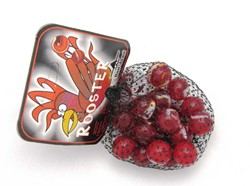 Don Juan 20+1 billes de coq 4143