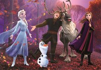 Clementoni La Reine des Neiges -  Teile
