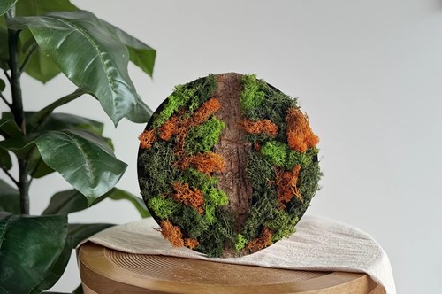 Little Creations DIY mosschilderij rendiermos oranje creatief pakket