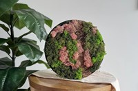 Little Creations DIY mosschilderij maken met rendiermos roze decoratie