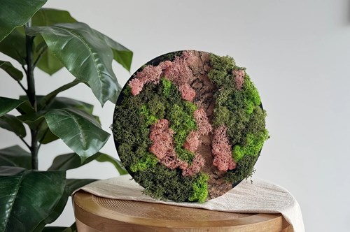 Little Creations DIY mosschilderij maken met rendiermos roze decoratie